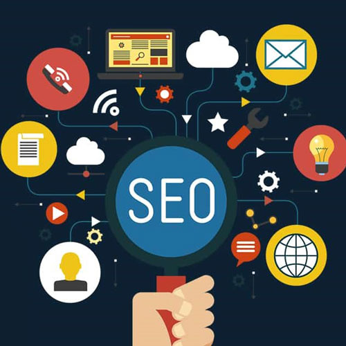 سئو و شاخه های آن